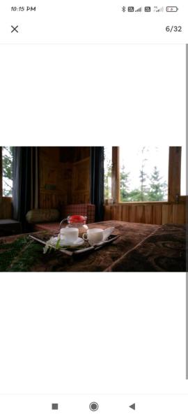 Jannat Cottages & Treehouse